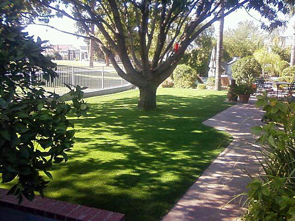 Artificial Grass Carpet Ephrata, Pennsylvania Landscaping