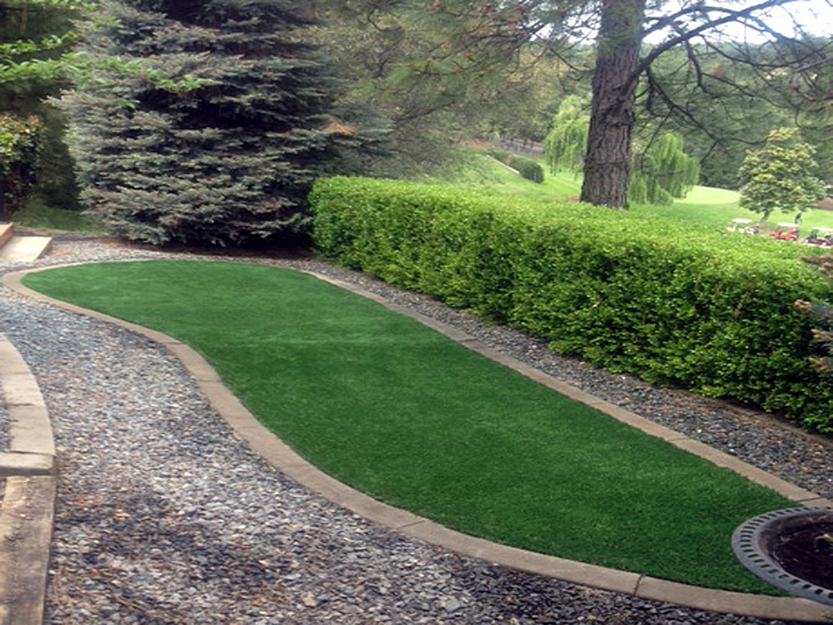 Artificial Grass Carpet Penn Lake Park, Pennsylvania Roof Top