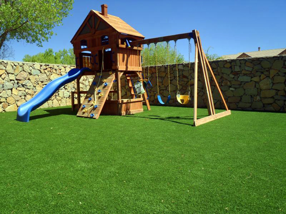 Artificial Grass Carpet Refton, Pennsylvania Lacrosse Playground, Backyard Designs
