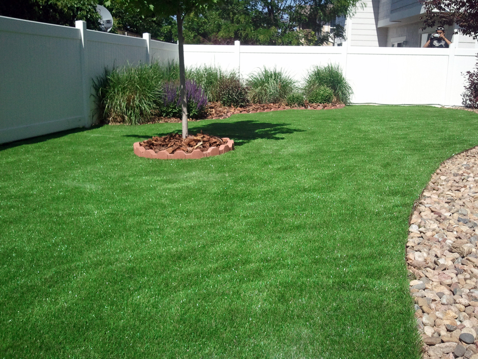 Artificial Grass Carpet West Conshohocken, Pennsylvania Backyard Playground, Backyards