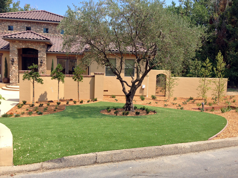 Artificial Grass East Greenville, Pennsylvania Landscape Photos, Small Front Yard Landscaping