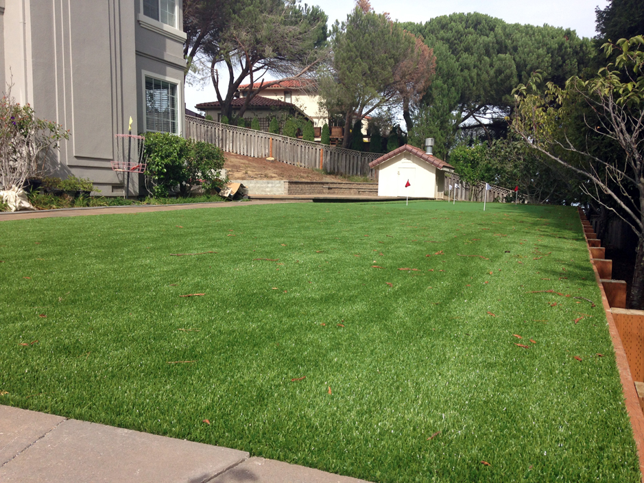 Artificial Grass Pottsville, Pennsylvania Office Putting Green, Backyard Landscaping