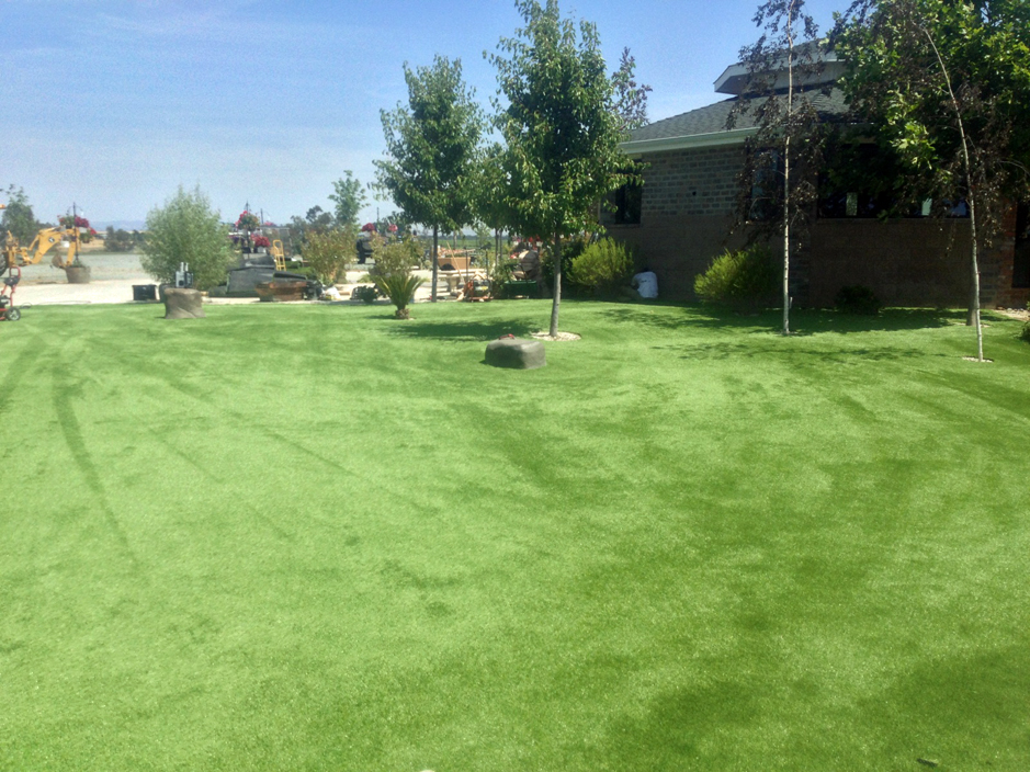 Artificial Lawn Dublin, Pennsylvania Lawn And Garden, Recreational Areas