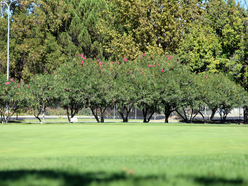 Artificial Turf Cost Mount Gretna, Pennsylvania Putting Green Grass