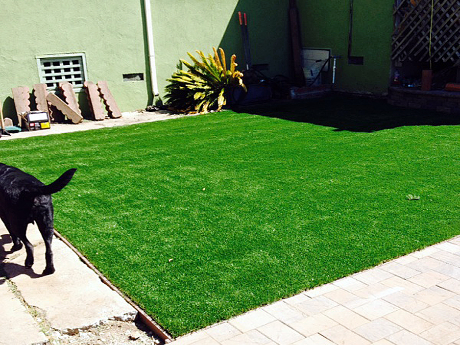 Artificial Turf Cost Portland, Pennsylvania Dogs, Backyard Designs