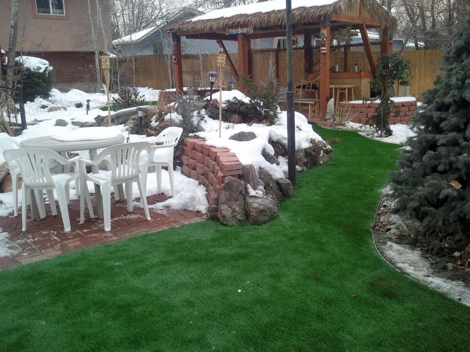Artificial Turf Cost Woodlyn, Pennsylvania Roof Top, Backyard Landscaping