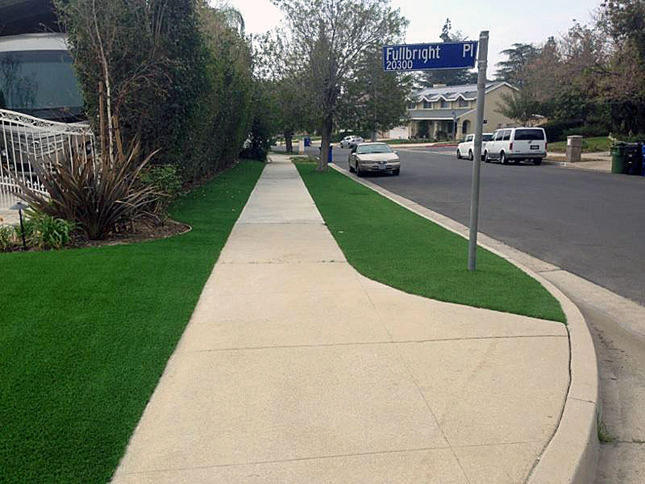 Artificial Turf Cost Wyncote, Pennsylvania Landscape Photos, Front Yard