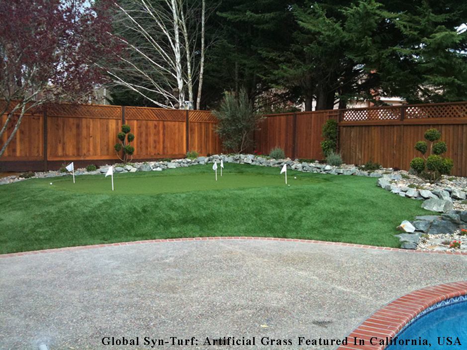 Artificial Turf Drexel Hill, Pennsylvania Indoor Putting Greens, Backyard Landscape Ideas