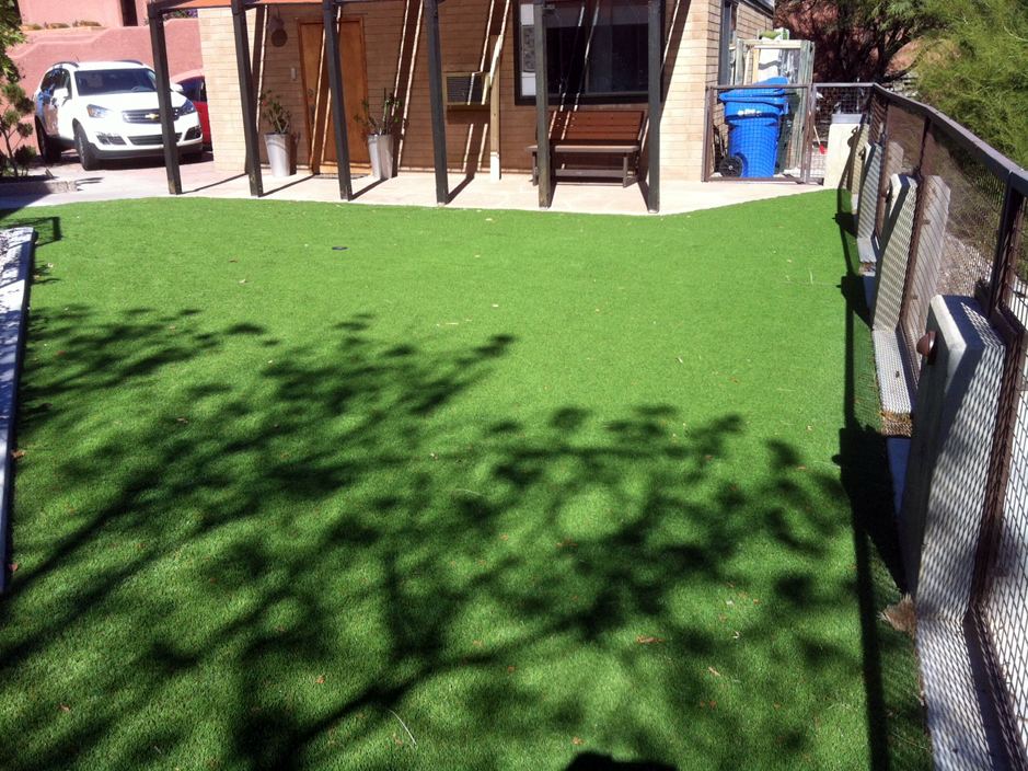 Artificial Turf Eddington, Pennsylvania Lawns, Backyard Landscaping Ideas