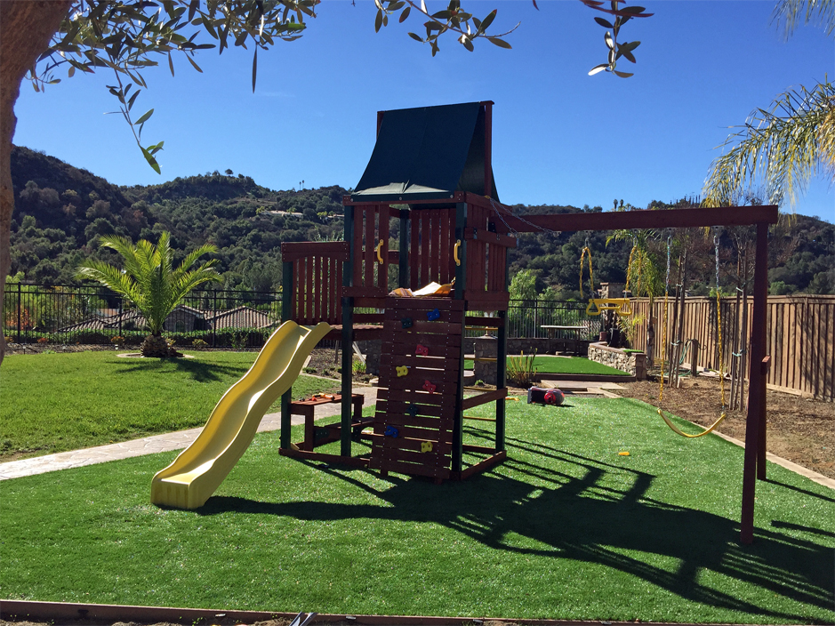 Artificial Turf Halifax, Pennsylvania Landscape Ideas