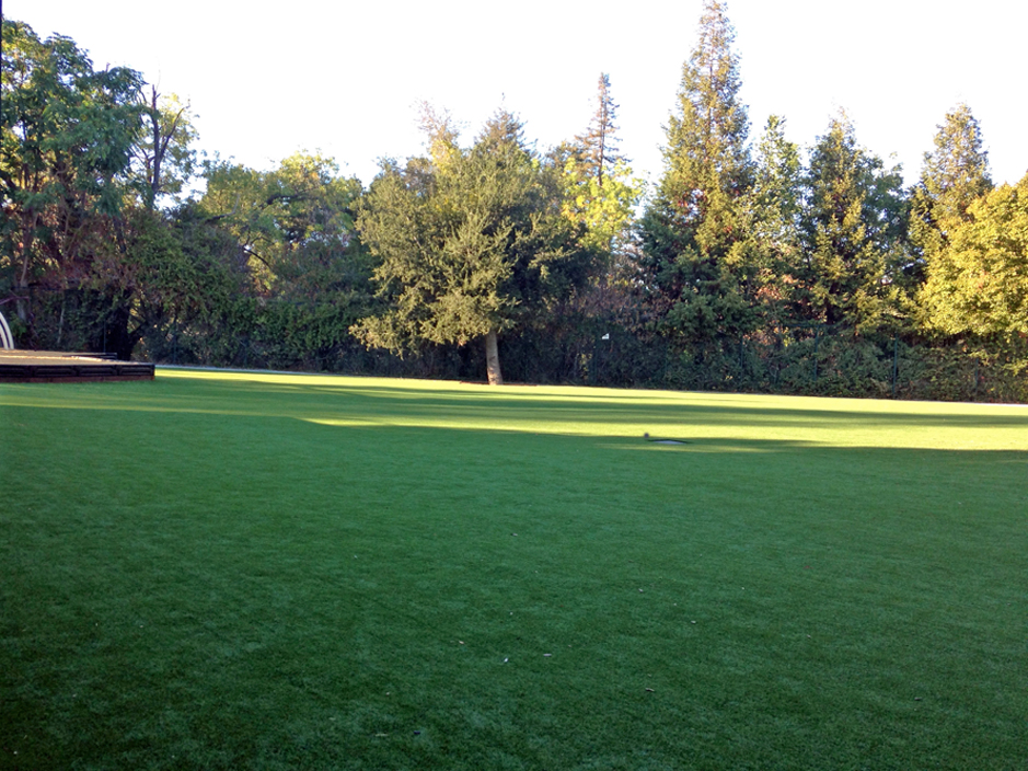 Artificial Turf Installation Amity Gardens, Pennsylvania Design Ideas, Parks