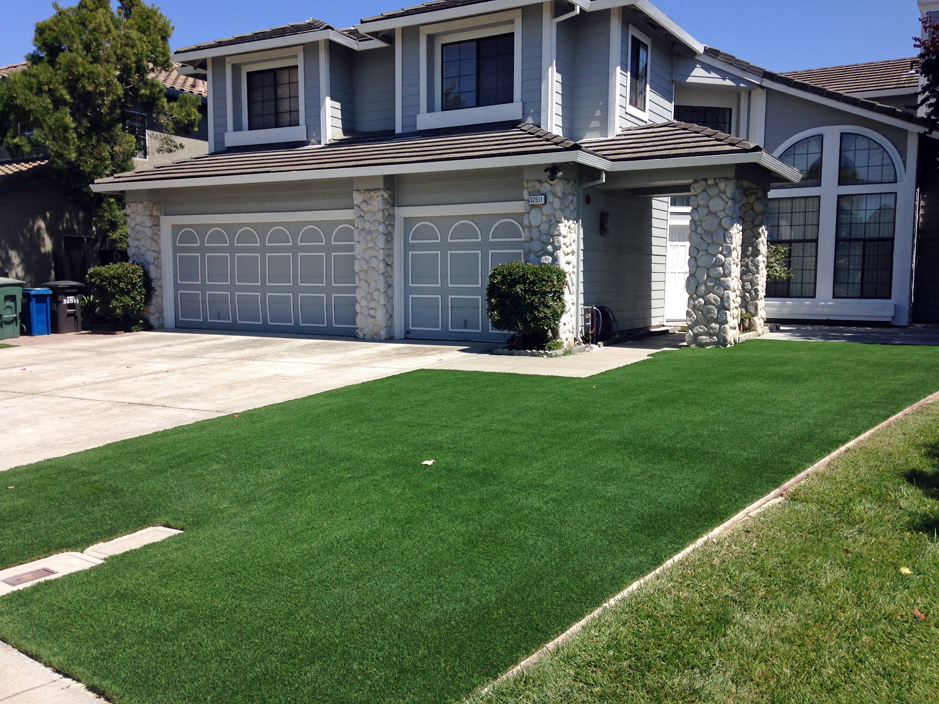 Artificial Turf Installation Pennsburg, Pennsylvania Landscape Ideas, Front Yard Ideas