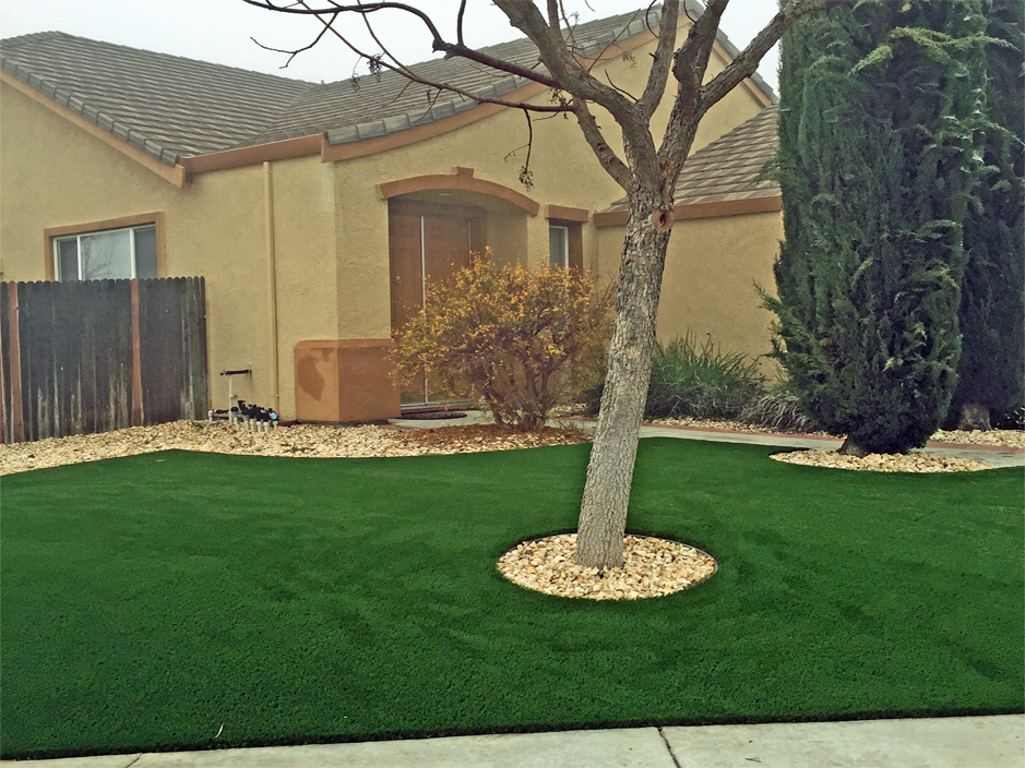 Artificial Turf Trooper, Pennsylvania Landscape Design, Front Yard Ideas