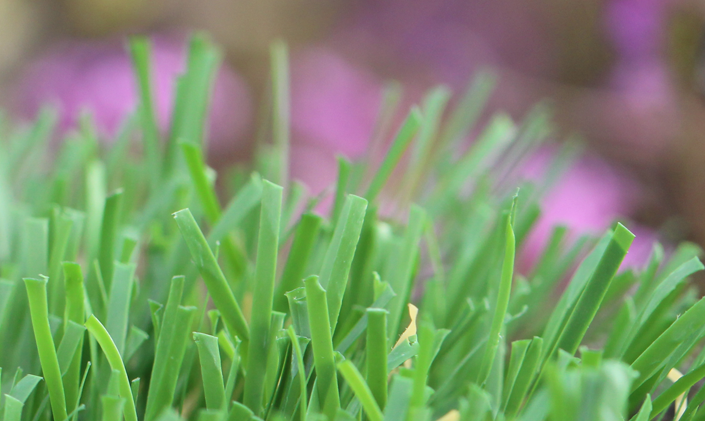 Artificial Grass Emerald-52 Artificial Grass Philadelphia Pennsylvania