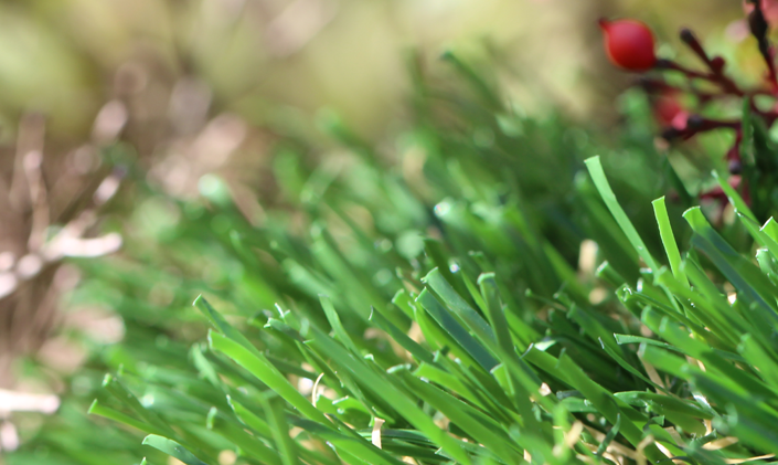 Artificial Grass Emerald-70 Artificial Grass Philadelphia Pennsylvania