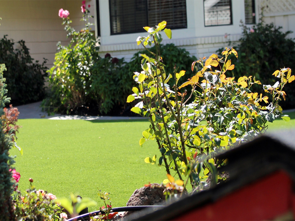 Best Artificial Grass Rockwood, Pennsylvania Garden Ideas, Front Yard Landscape Ideas