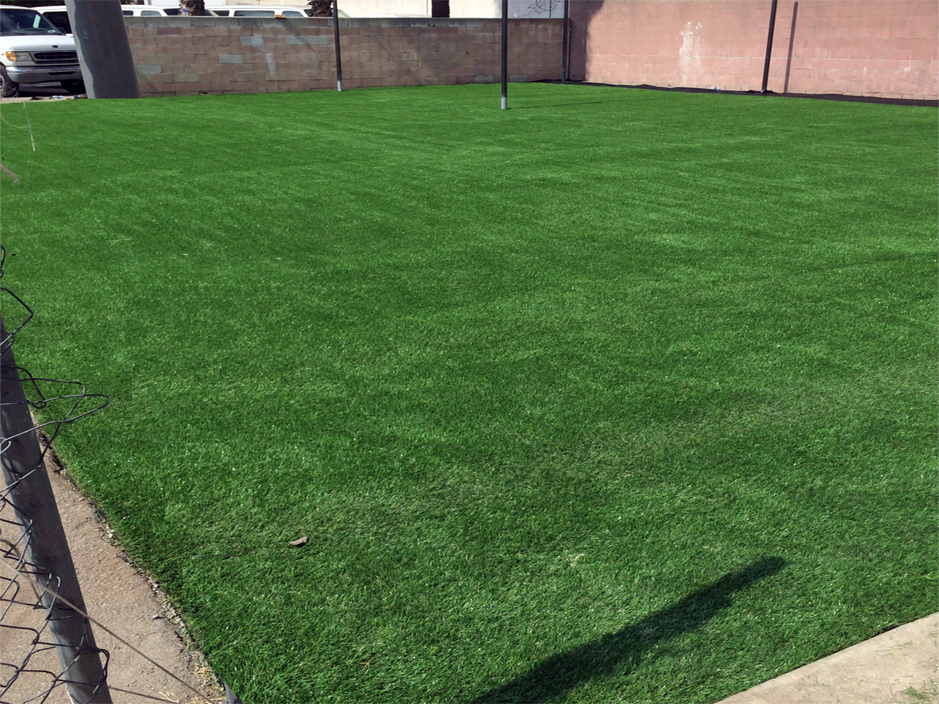 Fake Grass Carpet Akron, Pennsylvania Sports Turf