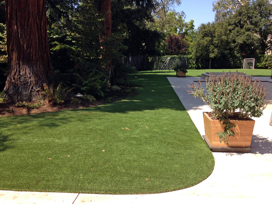 Fake Grass Carpet Gibraltar, Pennsylvania Dog Hospital, Front Yard
