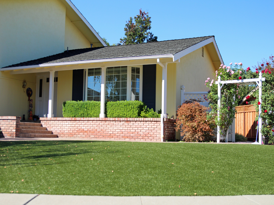 Fake Grass Carpet Lima, Pennsylvania City Landscape, Landscaping Ideas For Front Yard