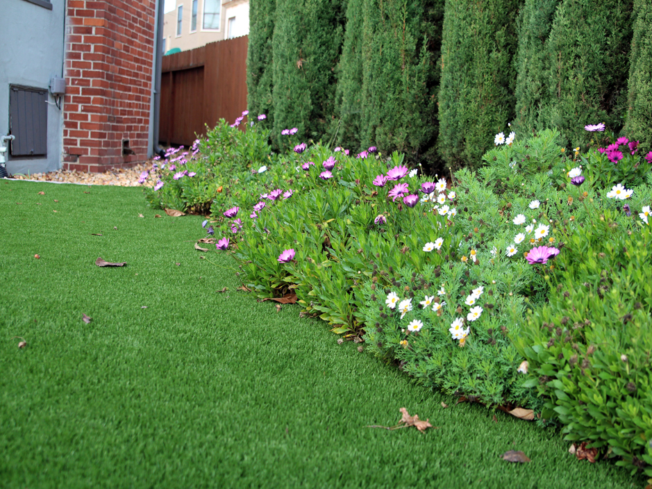 Fake Grass Carpet Wyoming, Pennsylvania Design Ideas, Front Yard