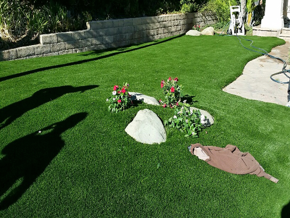 Fake Grass Renningers, Pennsylvania Landscape Design, Front Yard