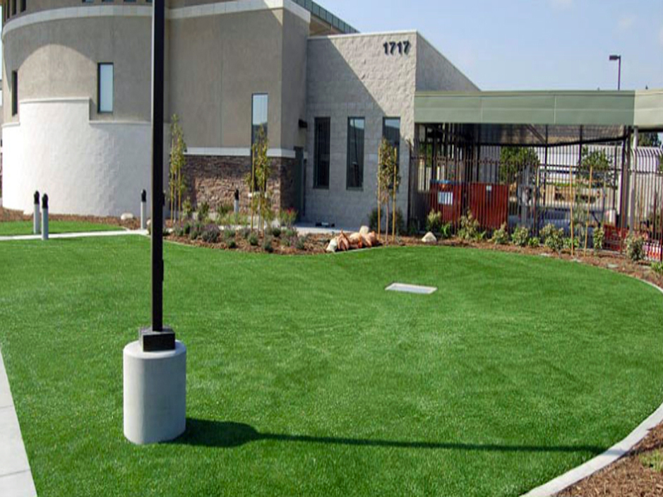 Fake Lawn Avon, Pennsylvania Lawn And Garden, Commercial Landscape
