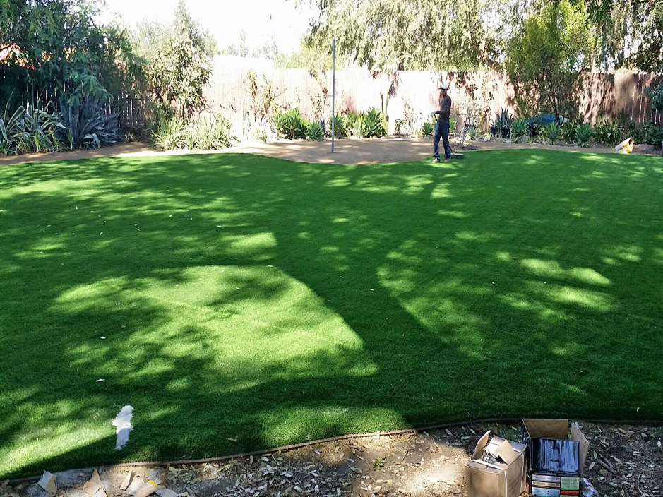 Fake Lawn Lansford, Pennsylvania Design Ideas, Backyards
