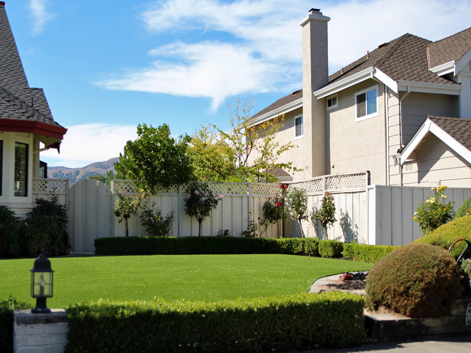 Fake Lawn Marietta, Pennsylvania Landscaping Business, Small Front Yard Landscaping