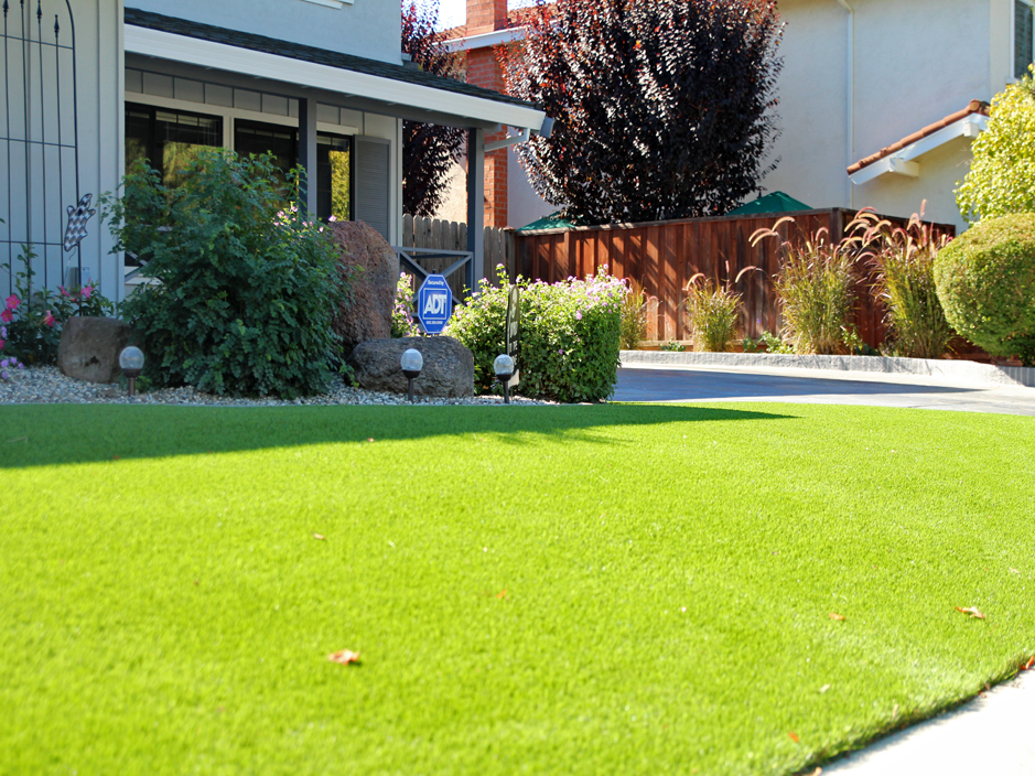 Fake Lawn Towamensing Trails, Pennsylvania Design Ideas, Small Front Yard Landscaping