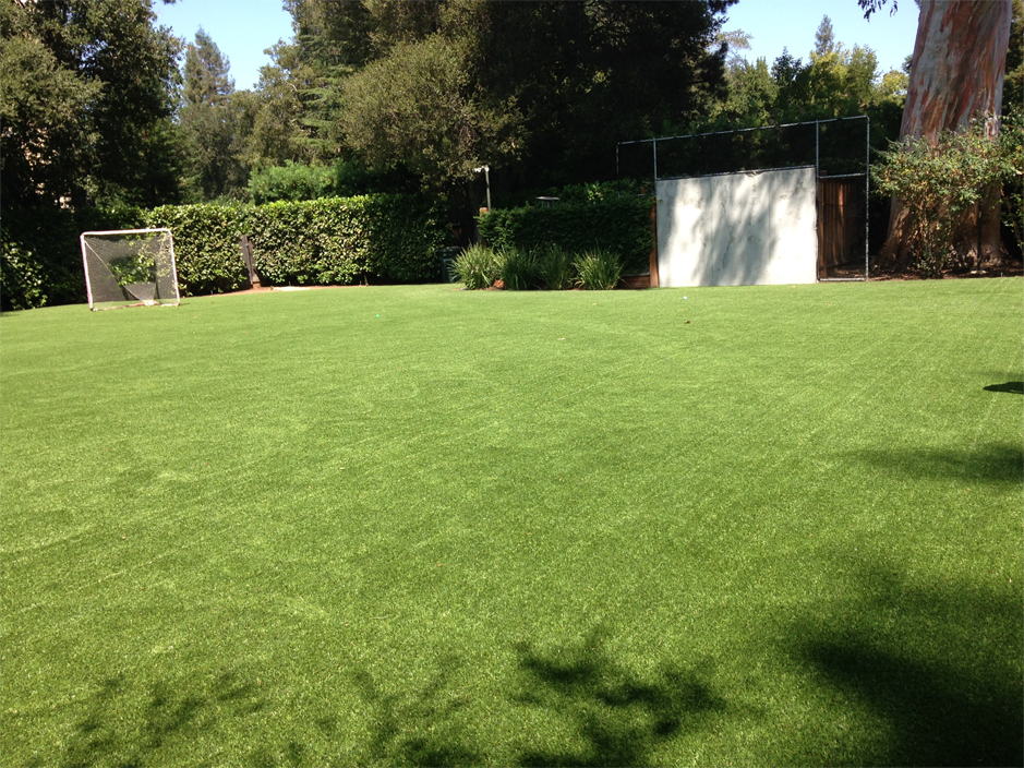 Fake Lawn Tresckow, Pennsylvania High School Sports, Backyard Ideas