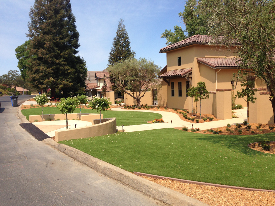 Fake Turf Birdsboro, Pennsylvania City Landscape, Front Yard Ideas