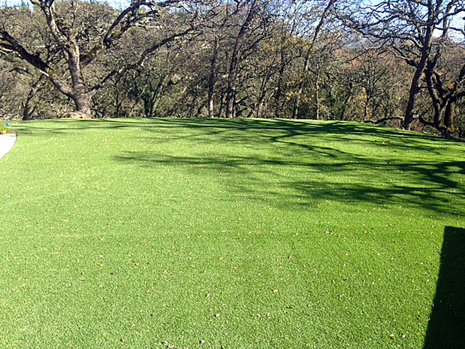 Fake Turf Brookhaven, Pennsylvania City Landscape, Parks