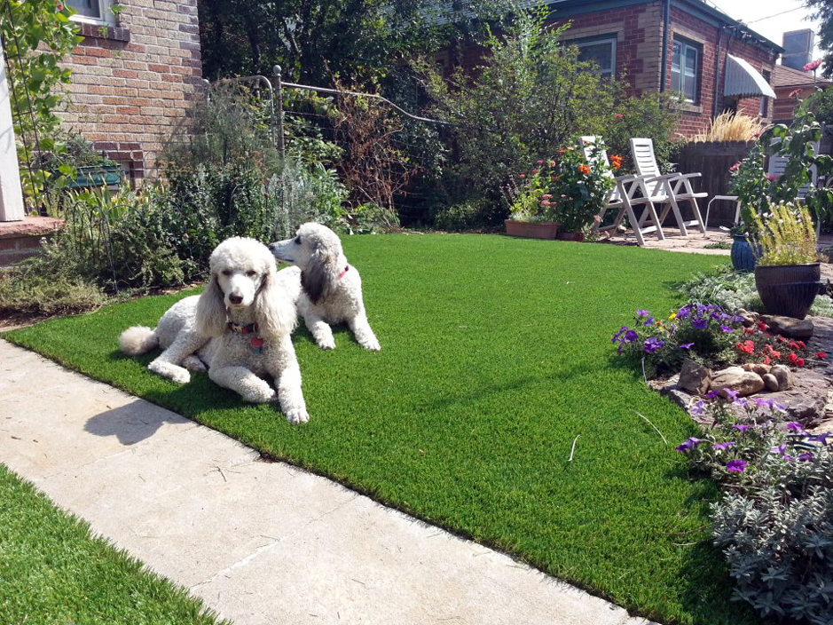 Fake Turf Englewood, Pennsylvania Watch Dogs, Front Yard Landscaping Ideas