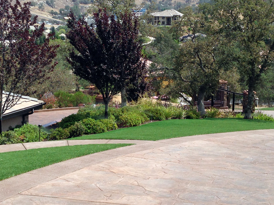 Fake Turf Grier City, Pennsylvania Lawn And Landscape, Front Yard