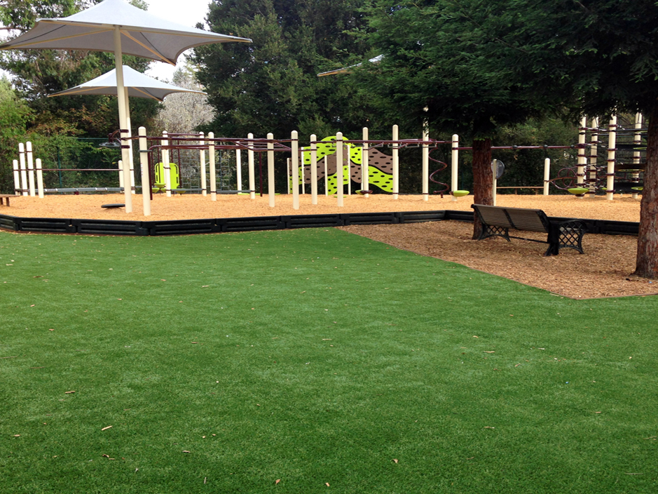 Fake Turf Richland, Pennsylvania Playground, Backyard Landscape Ideas