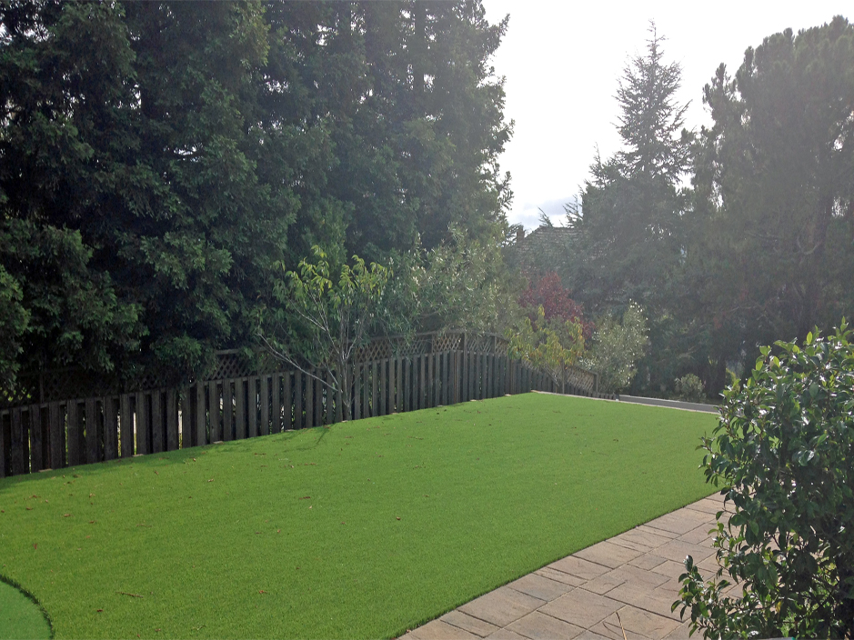 Fake Turf Sun Valley, Pennsylvania Landscaping, Backyard Landscape Ideas