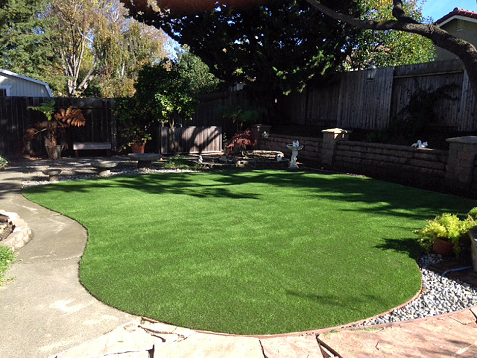 Fake Turf Upland, Pennsylvania Landscape Ideas, Backyard Garden Ideas