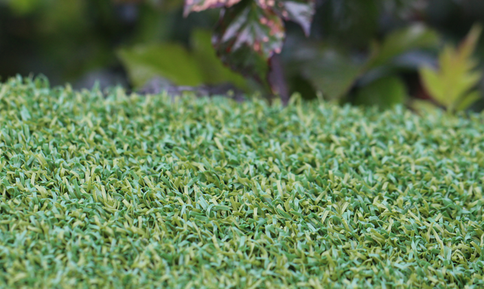 Artificial Grass Putt-46 BiColor Artificial Grass Philadelphia Pennsylvania