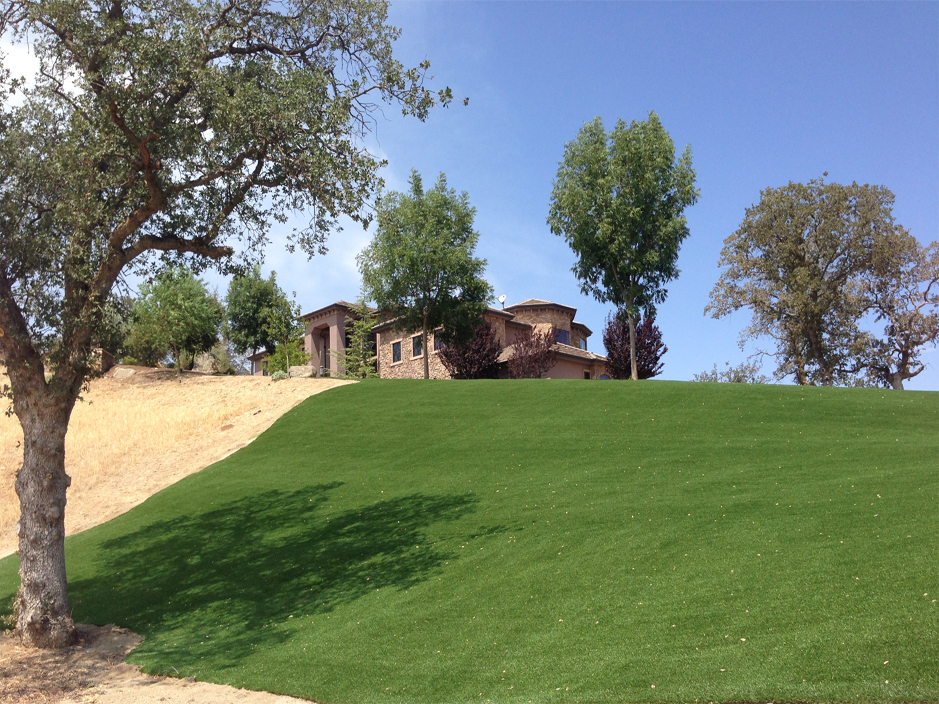 Faux Grass Douglassville, Pennsylvania Garden Ideas, Front Yard Design