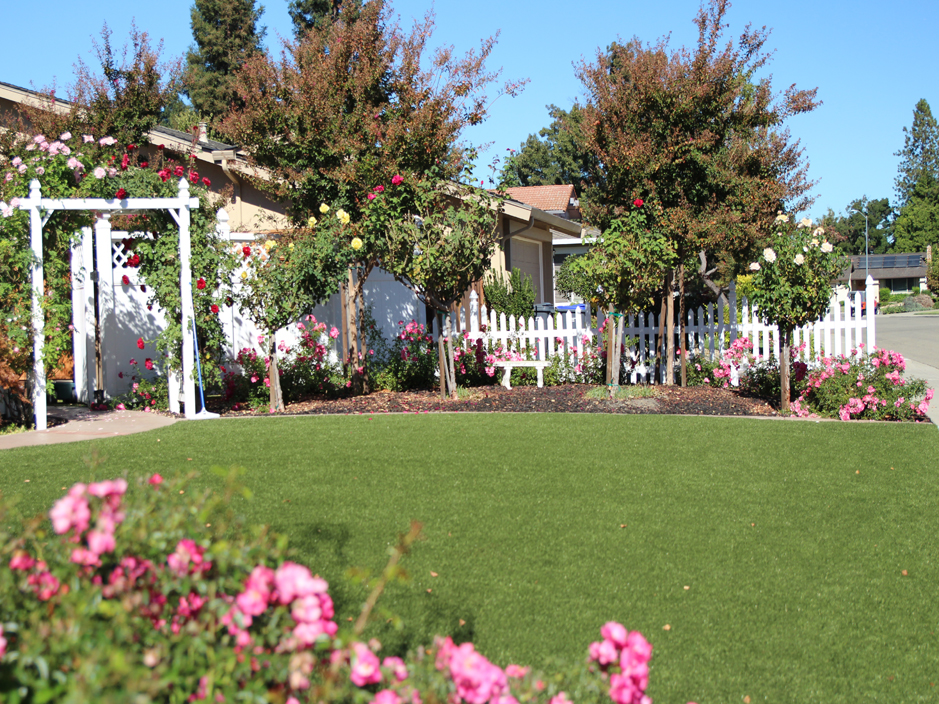 Faux Grass Fort Indiantown Gap, Pennsylvania Home And Garden, Front Yard Ideas