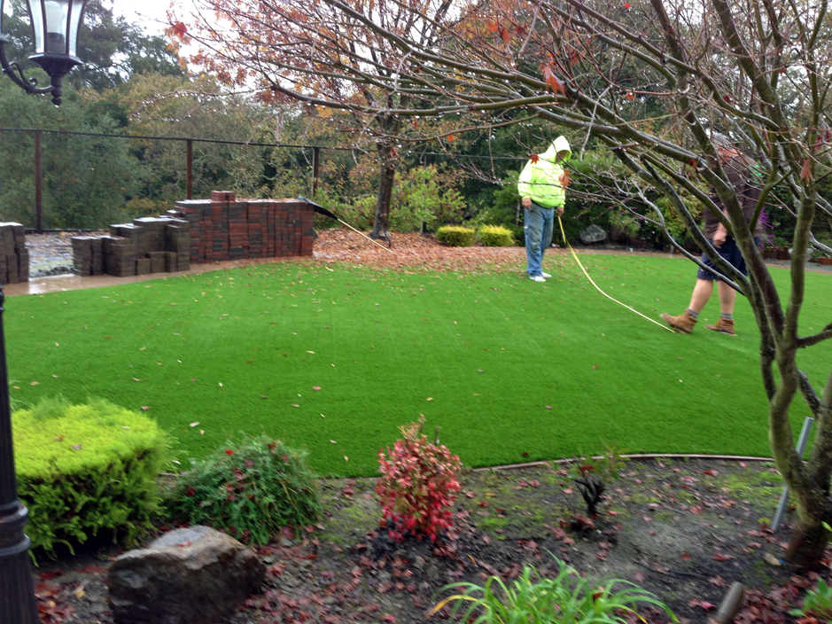 Faux Grass Mount Pocono, Pennsylvania Landscape Photos, Backyard