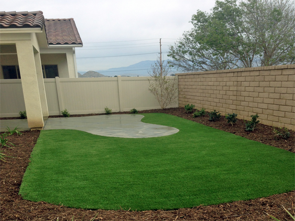 Grass Carpet Feasterville, Pennsylvania Landscape Photos, Backyard Landscape Ideas