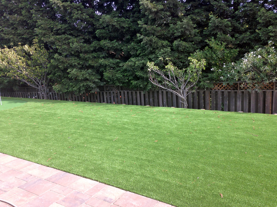 Grass Carpet Marlin, Pennsylvania Landscape Rock, Backyard Designs