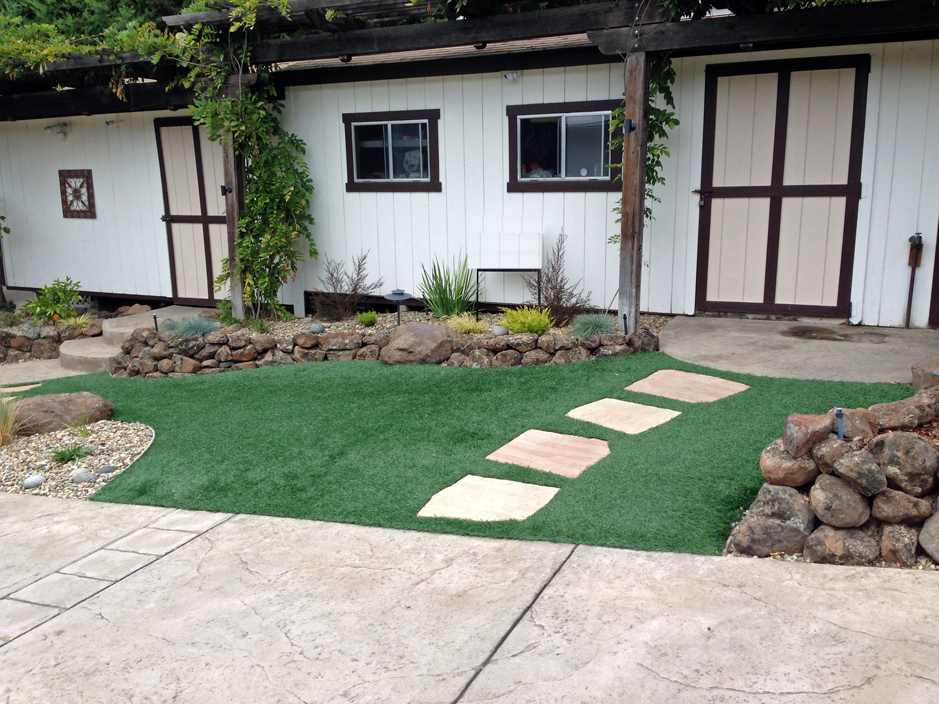 Grass Carpet Ravine, Pennsylvania Garden Ideas, Front Yard Landscaping