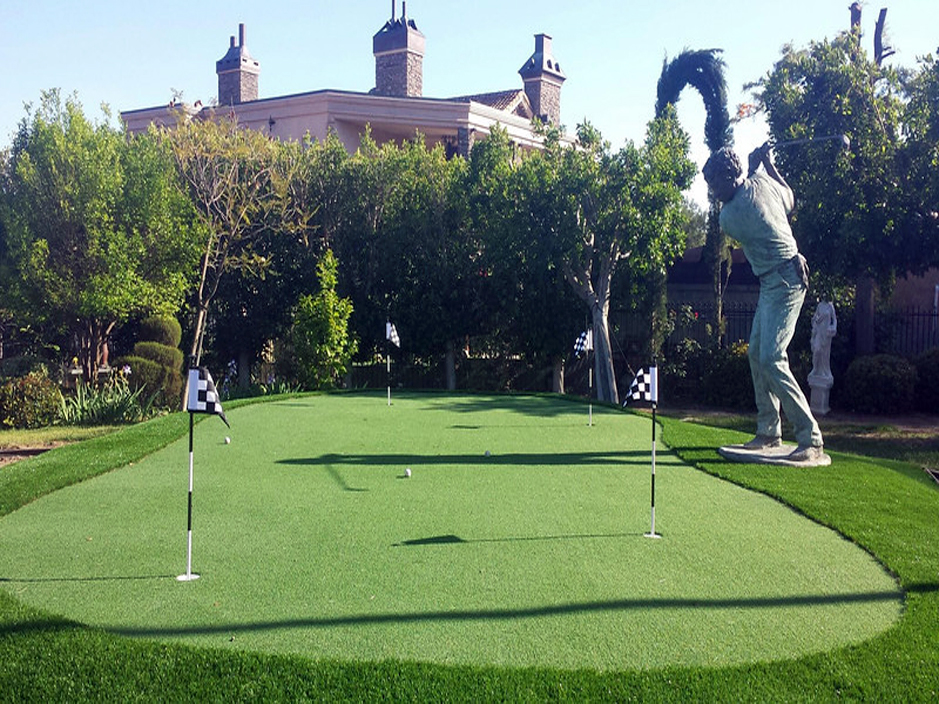 Grass Carpet Washington Boro, Pennsylvania Putting Green Turf, Backyard Garden Ideas