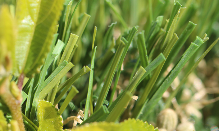 Artificial Grass Beautiful Synthetic Lawn For My Family