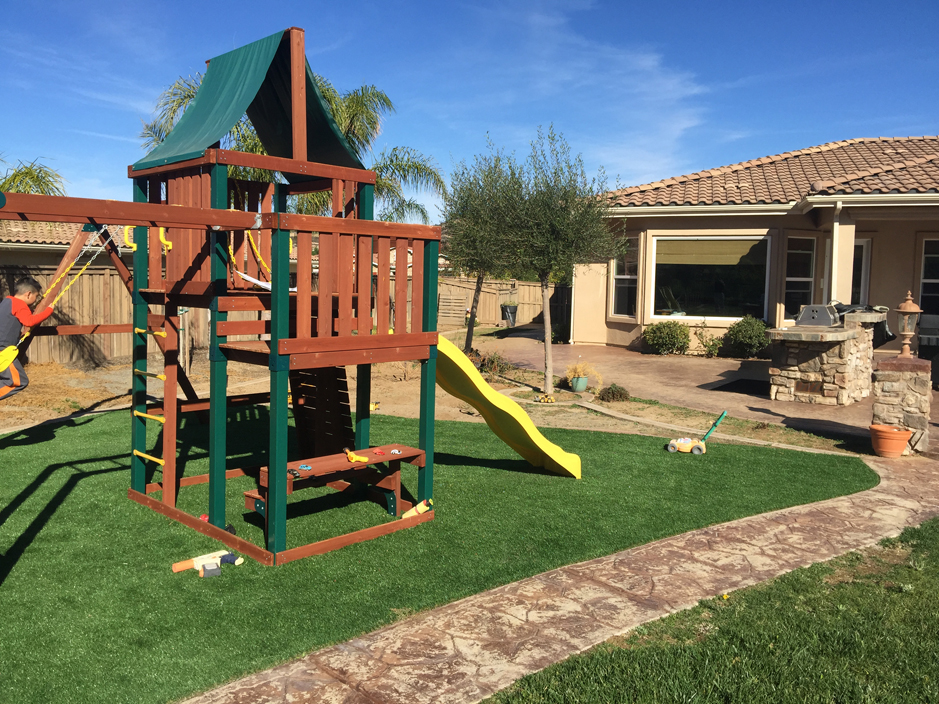 Grass Turf Glenside, Pennsylvania Landscape Ideas, Backyard Landscape Ideas