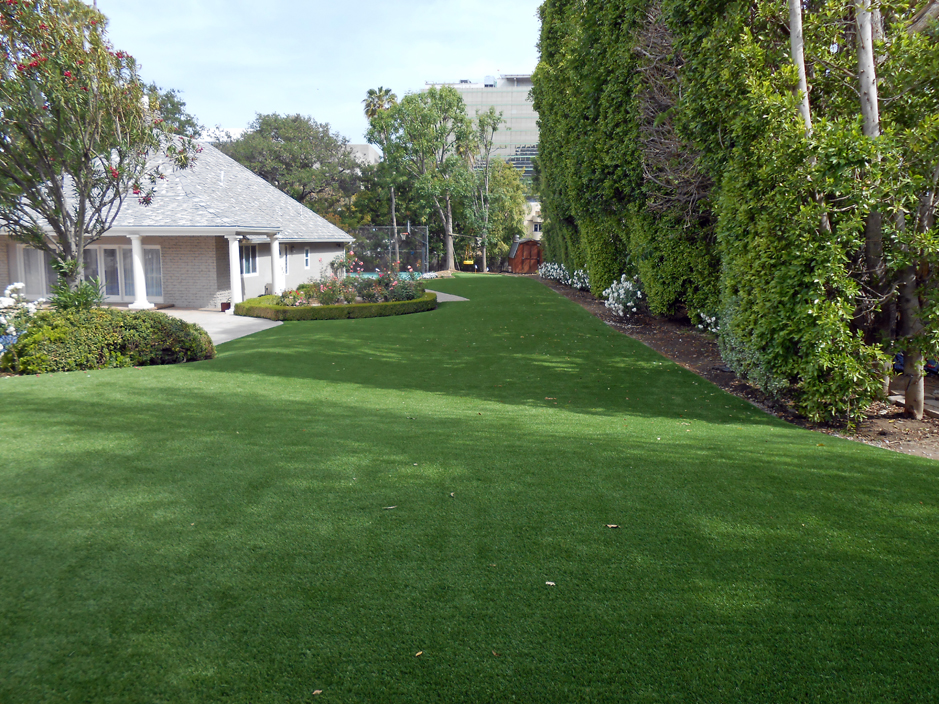 Lawn Services Walnutport, Pennsylvania Pet Paradise, Front Yard Design