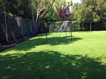 Artificial Grass Photos: Artificial Grass Bath, Pennsylvania Gardeners, Backyard Garden Ideas