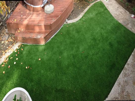 Artificial Grass Photos: Artificial Grass Carpet Almedia, Pennsylvania Backyard Deck Ideas, Backyard Makeover